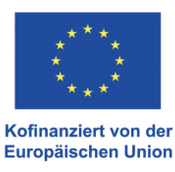 EU Logo