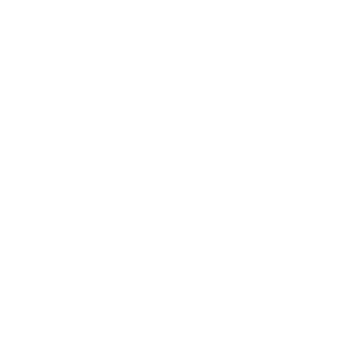 Process Mapping